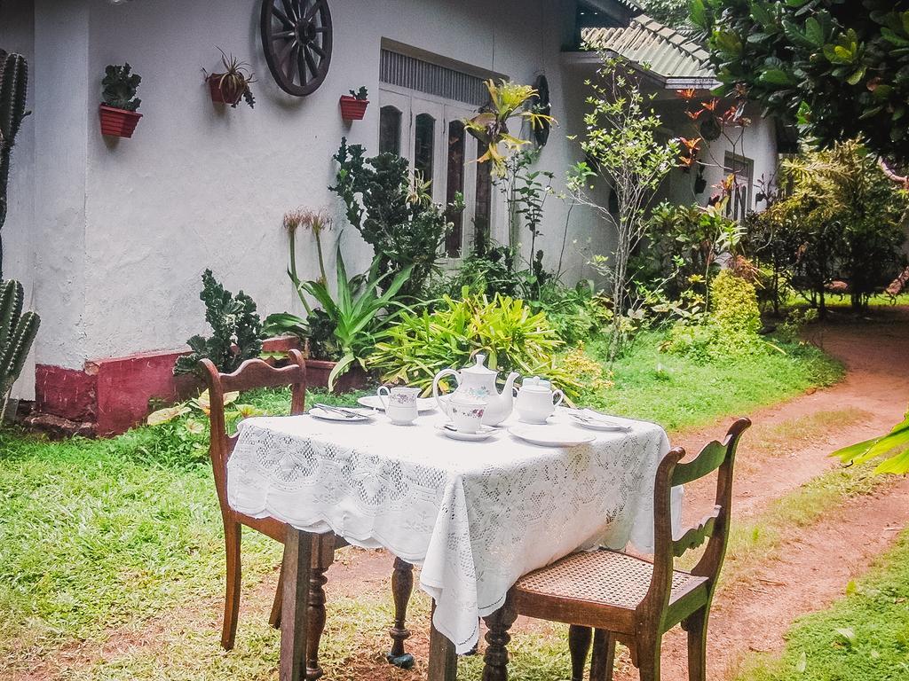 Shammie Guest House Хиккадува Экстерьер фото